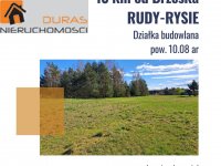 Rudy - Rysie